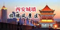 黄网站免费观看男gay体育生肛交中国陕西-西安城墙旅游风景区